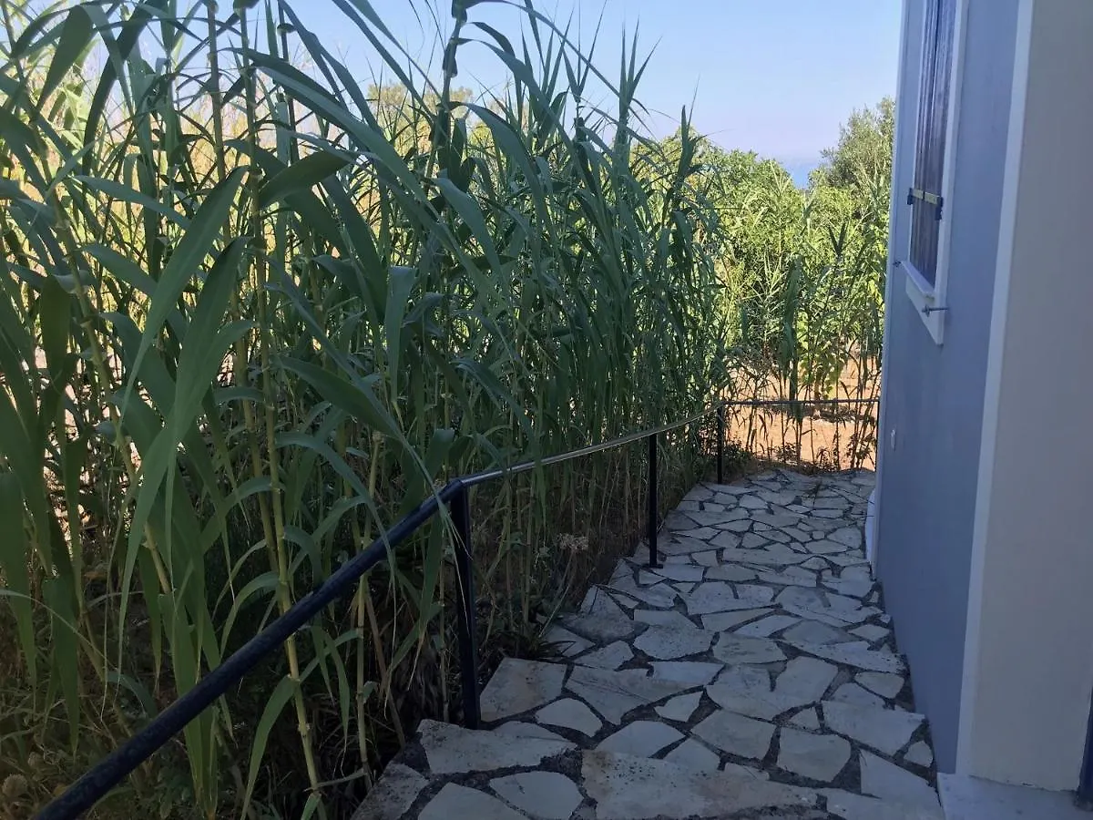Artemis Villa Fiskardo